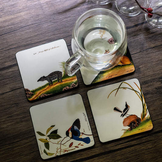 Coasters, Set of 4, William Farquhar - Qua | Distinctive Gifts