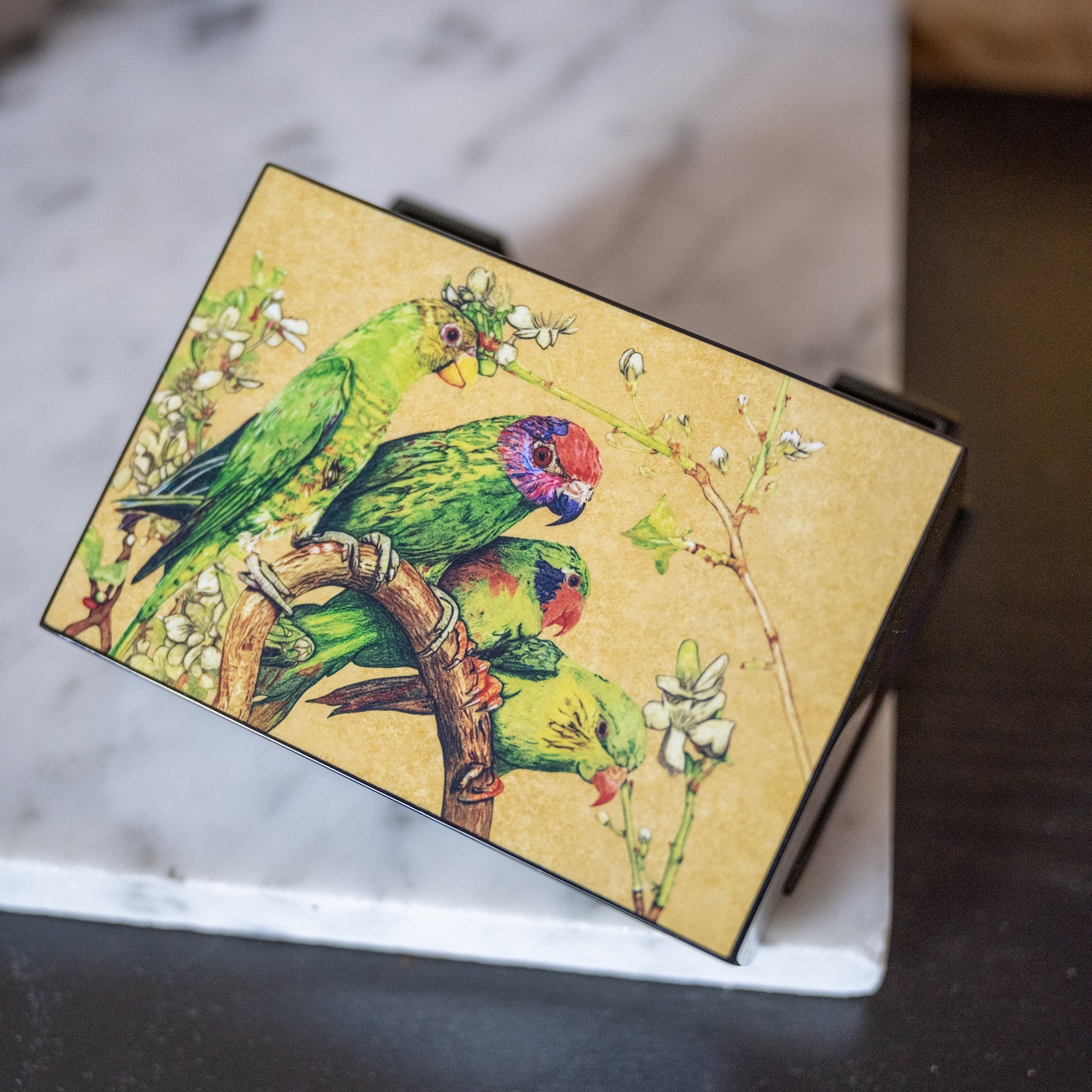 Business Card Box, Pathlight Artist Showcase (Artwork by Selena Seow) - Qua | Distinctive Gifts