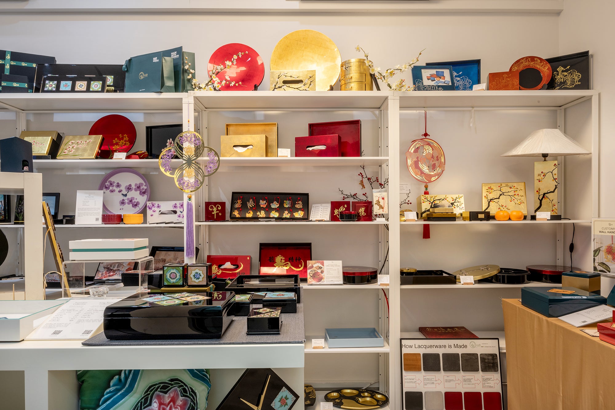 Discover Our Collections
