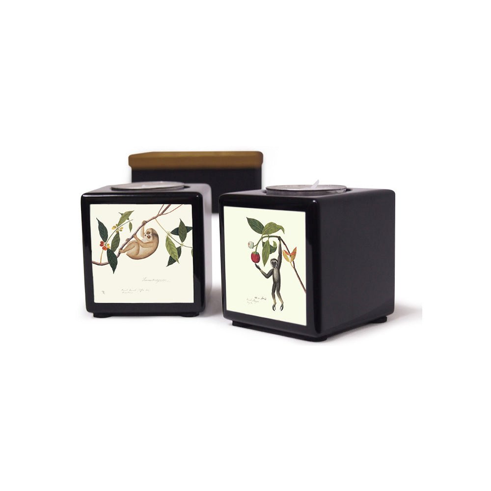 Tealight Holder, Set of 2, William Farquhar (Loris & Gibbon) - Qua | Distinctive Gifts