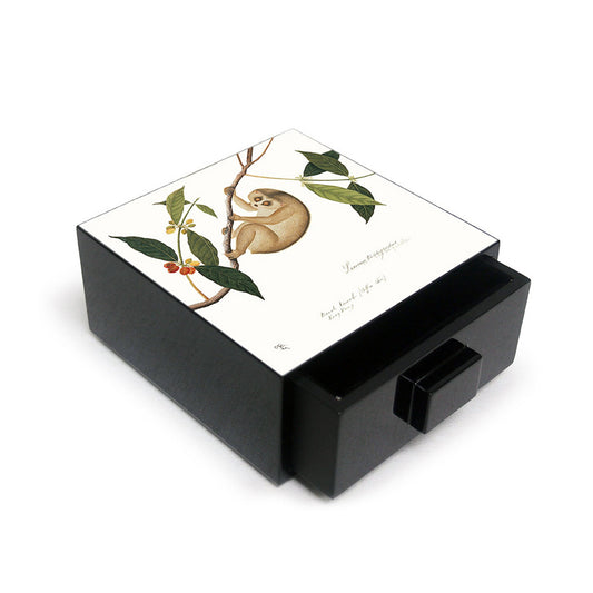 Treasure Box, William Farquhar (Loris) - Qua | Distinctive Gifts