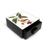 Treasure Box, William Farquhar (Oriole) - Qua | Distinctive Gifts